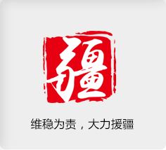 维稳为责，大力援疆