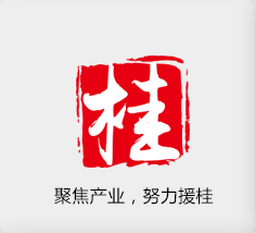 聚焦产业，努力援桂